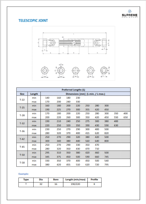 Telescopic Joint